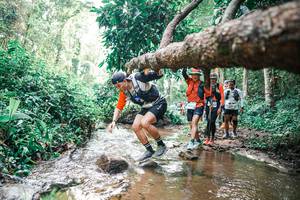 BIB: 
                            <button type="button" onclick="openModal(25375180)" class="btn btn-primary btn-sm float-right btn-popup" data-toggle="modal" data-target=".modal-high-quality">
                        <i class="fas fa-shopping-cart"></i> Add to Cart
                    </button>
                                            <button type="button" onclick="isThisMe(25375180, true)" class="btn btn-success btn-sm float-right btn-popup btn-isme hidden" data-toggle="tooltip" data-placement="bottom" title="นี่คือรูปของคุณใช่ไหม คลิกที่นี่เพื่อเอาเข้าอัลบั้ม">
                        <i class="fas fa-plus"></i> Add to album
                    </button>
                    <button type="button" onclick="isThisMe(25375180, false)" class="btn btn-warning btn-sm float-right btn-popup btn-isnotme hidden">
                        <i class="fas fa-ban"></i> Remove from album
                    </button>